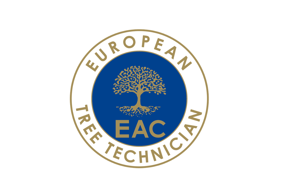 Se actualiza la lista de espera para la certificación European Tree Technician (ETT)
