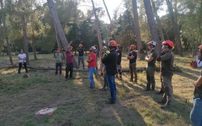Primera jornada del curso de Técnicas avanzadas de rigging y apeo