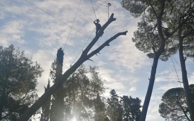 Finaliza la primera edición del curso de Técnicas avanzadas de rigging y apeo