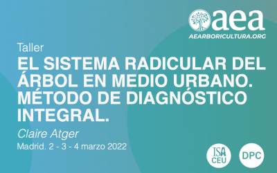 TALLER: EL SISTEMA RADICULAR DEL ÁRBOL EN MEDIO URBANO. MÉTODO DE DIAGNÓSTICO INTEGRAL. CLAIRE ATGER. Madrid 2,3,4 marzo 2022