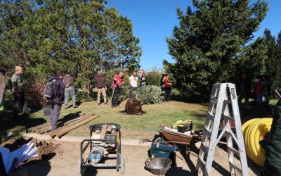 Concluye el curso LA PLANTACIÓN: ¿ÉXITO ASEGURADO?