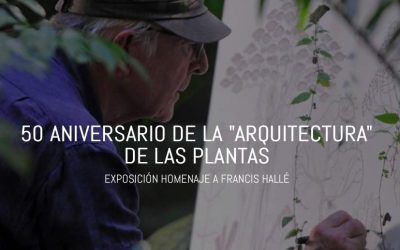 Exposición ’50 años de la Arquitectura de las Plantas’ en homenaje a Hallé en el Congreso Nacional de Arboricultura