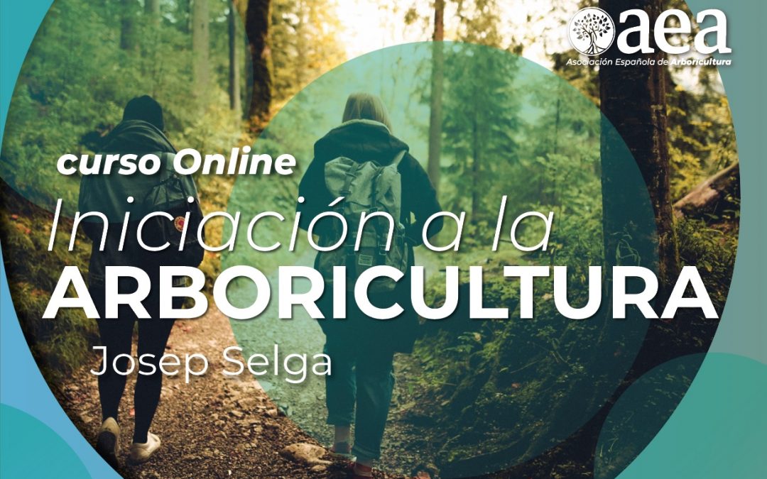 ‘Curso online de iniciación a la arboricultura’ con Josep Selga, cierre de inscripciones de la 2ª edición