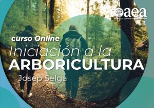 Curso Online: Iniciación a la Arboricultura. Josep Selga
