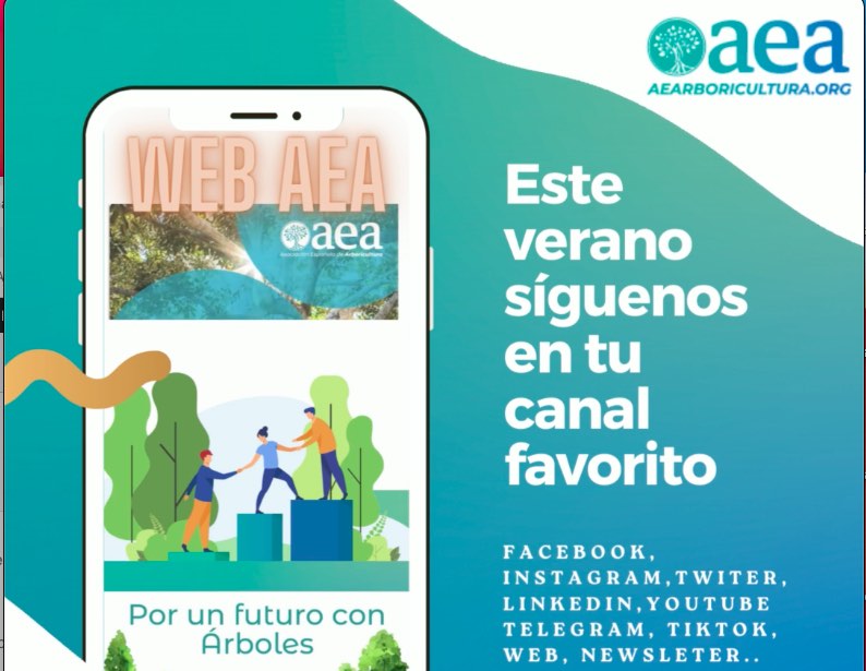 Redes AEA