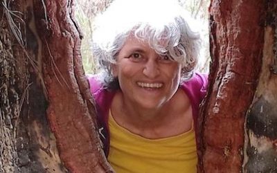 Entrevista a María José Moreno Merelo en el periódico La Provincia