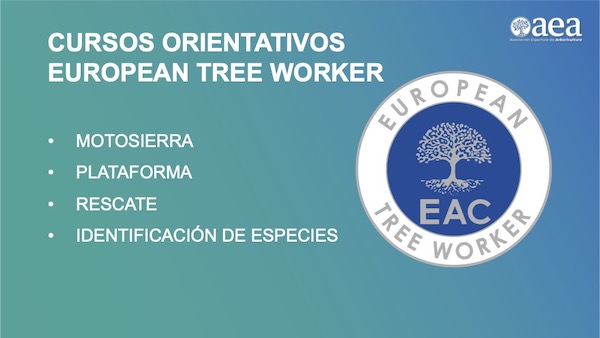 Nuevos cursos orientados a la certificación European Tree Worker ETW