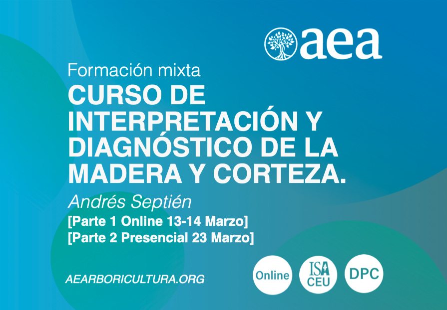 Nuevo Curso de ‘Interpretación y diagnóstico de la madera y corteza’ con Andrés Septién
