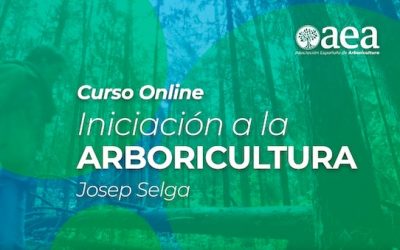 Curso on line de Iniciación a la Arboricultura con Josep Selga