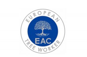 ETW