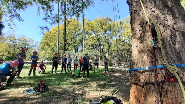 Concluyen los cursos orientativos ETW en Sevilla con ‘Técnicas de rescate orientadas a la arboricultura’