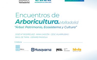Encuentros de Arboricultura en Valladolid: ‘ÁRBOL: Patrimonio, Ecosistema y Cultura’