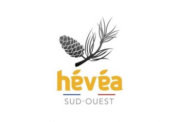 Promoción HÉVÉA para el Campeonato Nacional de Trepa de Árboles 2026 en Donostia