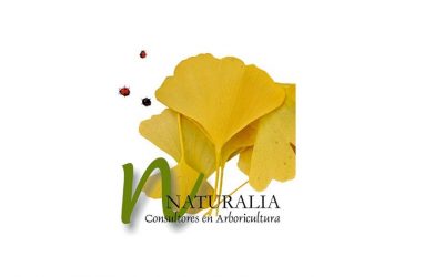 NATURALIA, patrocinador web del Congreso Nacional de Arboricultura 2023