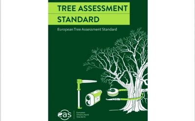 Primer borrador en inglés del Estándar Europeo de Evaluación de Árboles disponible para comentarios públicos
