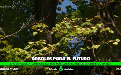 Mariano Sánchez y Miguel Angel Nuevo, en La Sexta noticias: árboles para el futuro