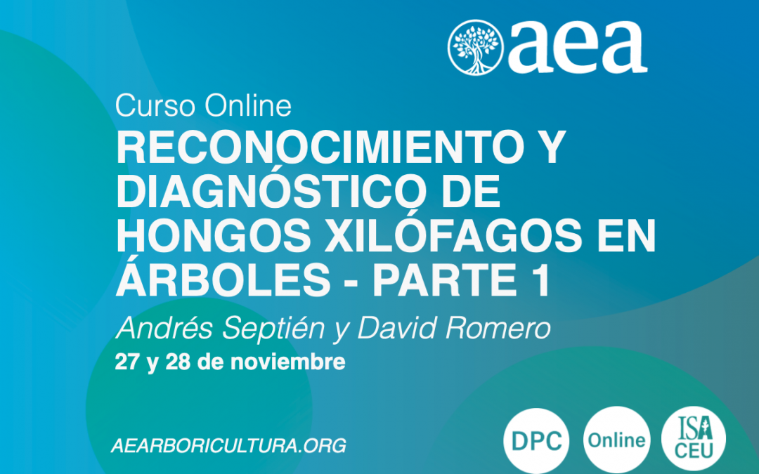 Curso Online. Reconocimiento Y Diagnóstico De Hongos Xilófagos En Árboles. Parte 1