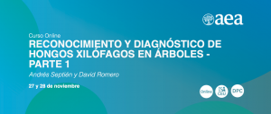 Curso Online. Reconocimiento Y Diagnóstico De Hongos Xilófagos En Árboles. Parte 1