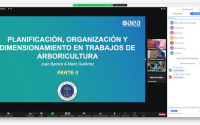 Concluye el curso ‘Planificación, organización y dimensionamiento en Trabajos de Arboricultura, dividido en dos partes