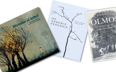 Libros sobre árboles desde una perspectiva diferente: arte y cultura