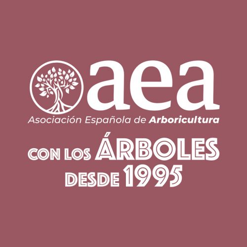 Camiseta AEA unisex: Con los árboles desde 1995. Diseño