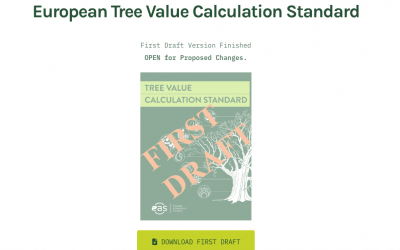 El borrador del ‘Estándar Europeo sobre el valor del árbol’ disponible para comentarios públicos