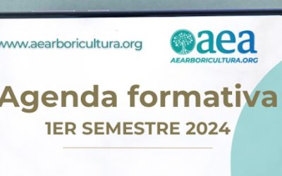 Fórmate con la AEA en los empleos más demandados: agenda formativa del 1er semestre 2024