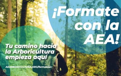 Nuevos cursos, eventos y certificaciones 2024 ¡Muy pronto!