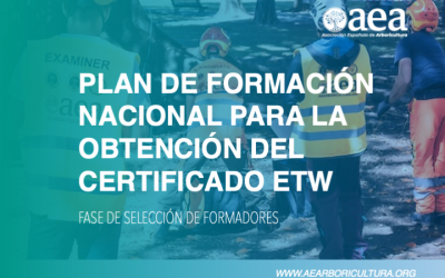 La AEA pone en marcha un Plan de Formación Nacional para la obtención del Certificado ETW