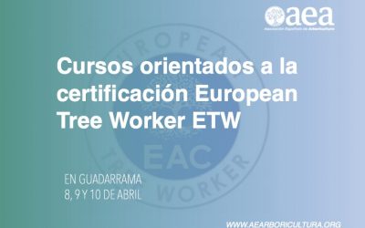 Nuevos cursos orientados a la Certificación ETW