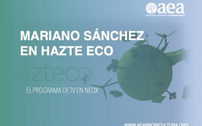 Programa Hazte Eco: ‘La importancia de los árboles en las ciudades: pueden absorber hasta 300 veces la contaminación’