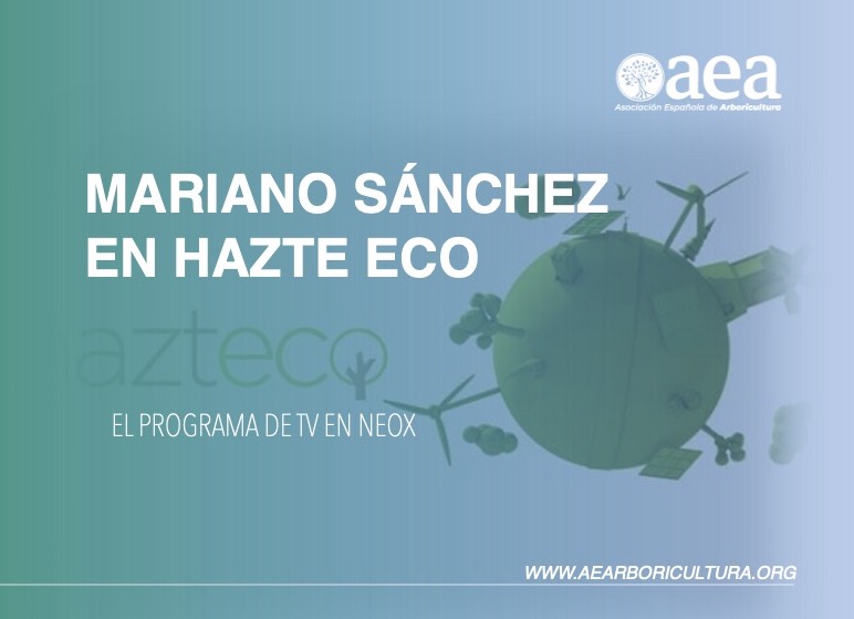 Programa Hazte Eco: ‘La importancia de los árboles en las ciudades: pueden absorber hasta 300 veces la contaminación’
