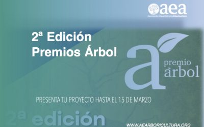 El Premio Árbol (Foro de las Ciudades) distingue los mejores proyectos municipales en cuanto a arboricultura