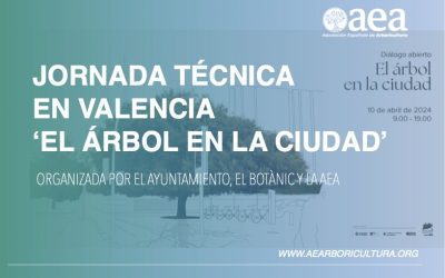 Jornada técnica en Valencia ‘El árbol en la ciudad’, diálogo abierto