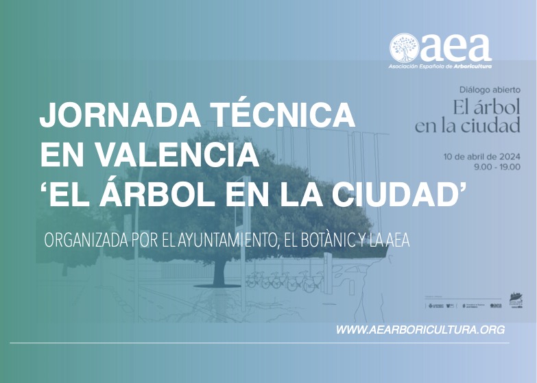 Jornada técnica en Valencia ‘El árbol en la ciudad’, diálogo abierto