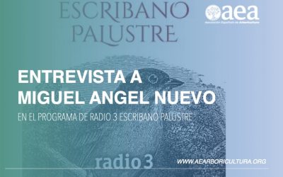 Entrevista a Miguel Ángel Nuevo, en Radio 3