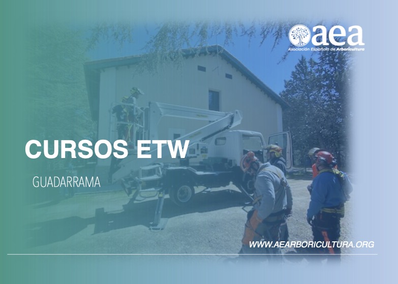 Semana intensa de cursos AEA: certificación ETW en Guadarrama e ‘Introducción a la trepa y la arboricultura’ en Reus y Cambrils