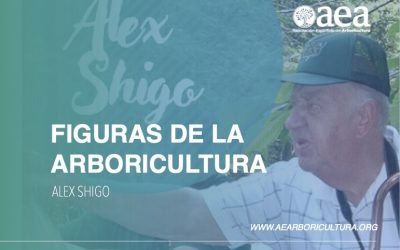 Nueva lámina de la campaña #AEAinfluencers: Alex Shigo