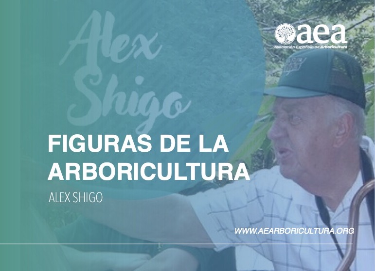 Nueva lámina de la campaña #AEAinfluencers: Alex Shigo