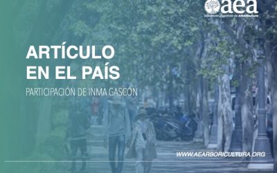 Inma Gascón, vicepresidenta de la AEA: “hay que preparar las ciudades para el cambio climático”