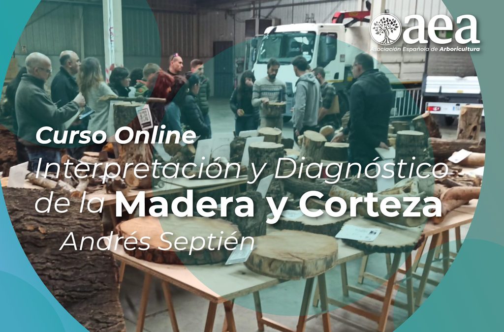 Curso Online: Interpretación y Diagnóstico de la Madera y Corteza. Andrés Septien