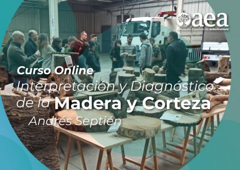 Curso Online: Interpretación y Diagnóstico de la Madera y Corteza. Andrés Septien