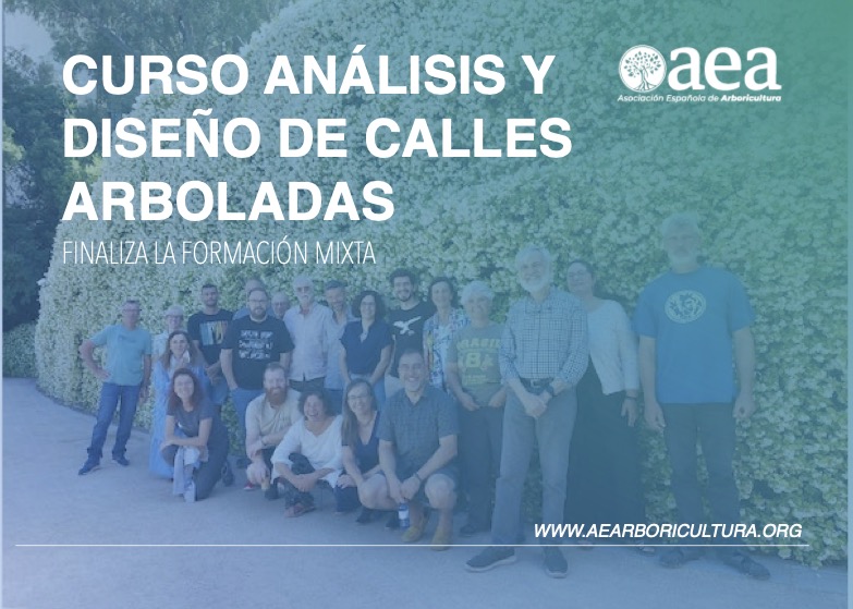 Finaliza el curso ANÁLISIS Y DISEÑO DE CALLES ARBOLADAS de Josep Selga