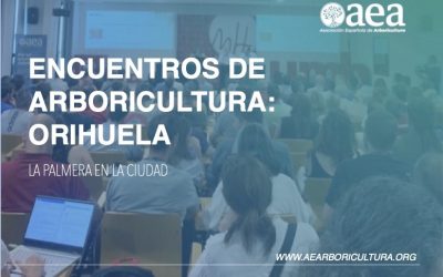 Estamos en los Encuentros de Arboricultura en Orihuela: Gestión de palmeras en la Ciudad