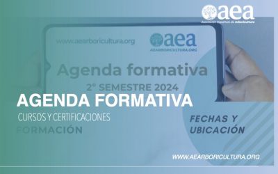 AGENDA DE FORMACIÓN DEL SEGUNDO SEMESTRE 2024