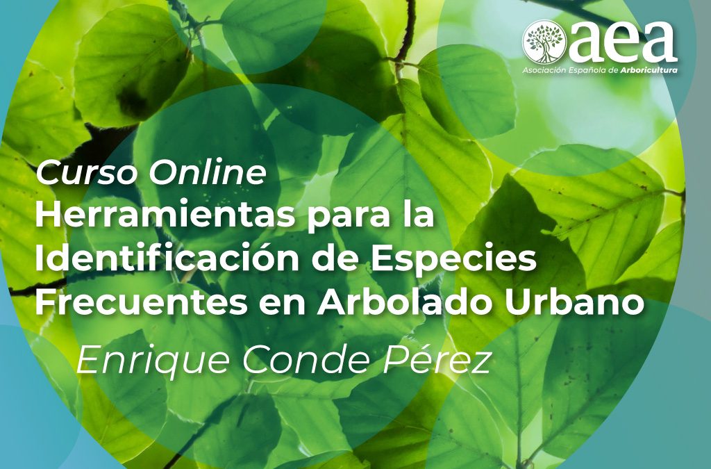 Curso online ‘Herramientas para la Identificación de Especies Frecuentes en Arbolado Urbano’ con Enrique Conde