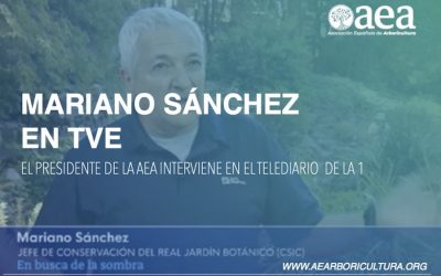 ‘En busca de la sombra’: Mariano Sánchez en las noticias de TV1