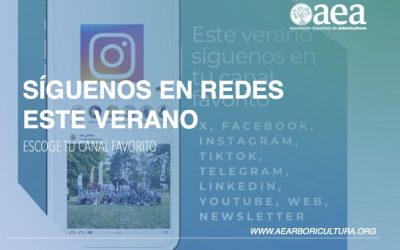 La AEA en las redes sociales y herramientas de comunicación en 2025