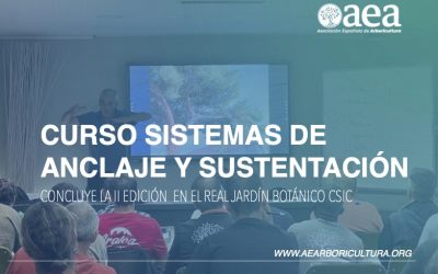 Concluye la II Edición del curso SISTEMAS DE ANCLAJE Y SUSTENTACIÓN EN ARBOLADO