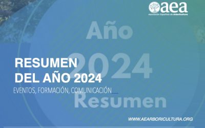 AEA en cifras, año 2024